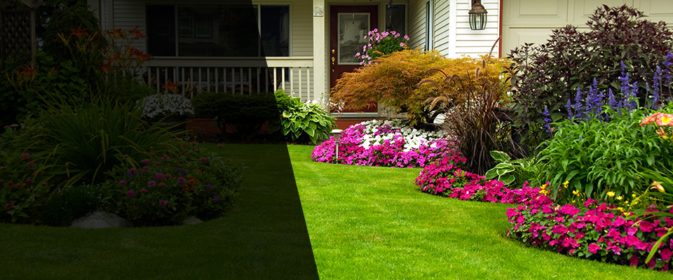 Sutton Landscapers