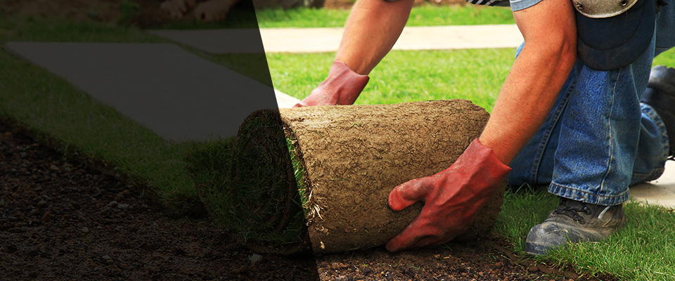 Sutton Landscapers